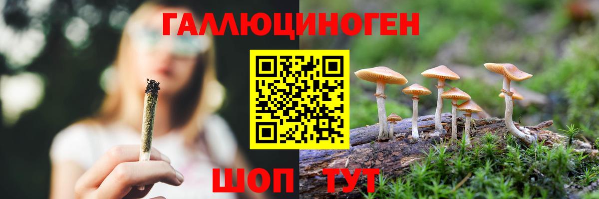 Ефремов  Галлюциногенные грибы мицелий  где купить   Псилоцибиновые грибы MAGIC MUSHROOMS  Вход с VPN 